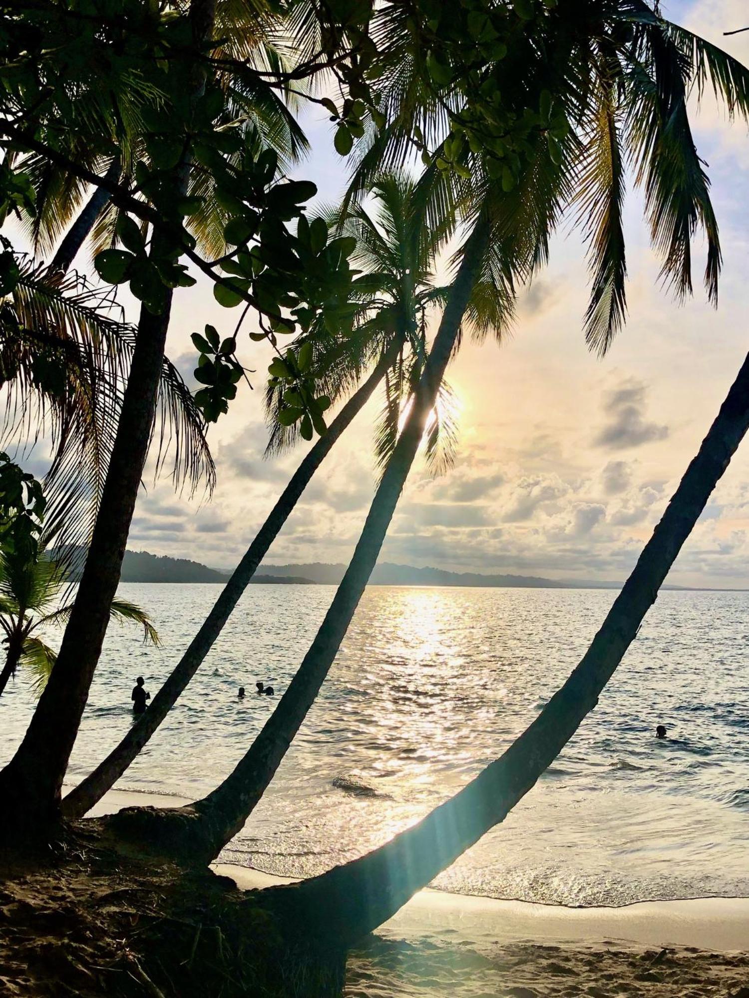 Cabinas Ole Caribe Puerto Viejo de Talamanca 外观 照片