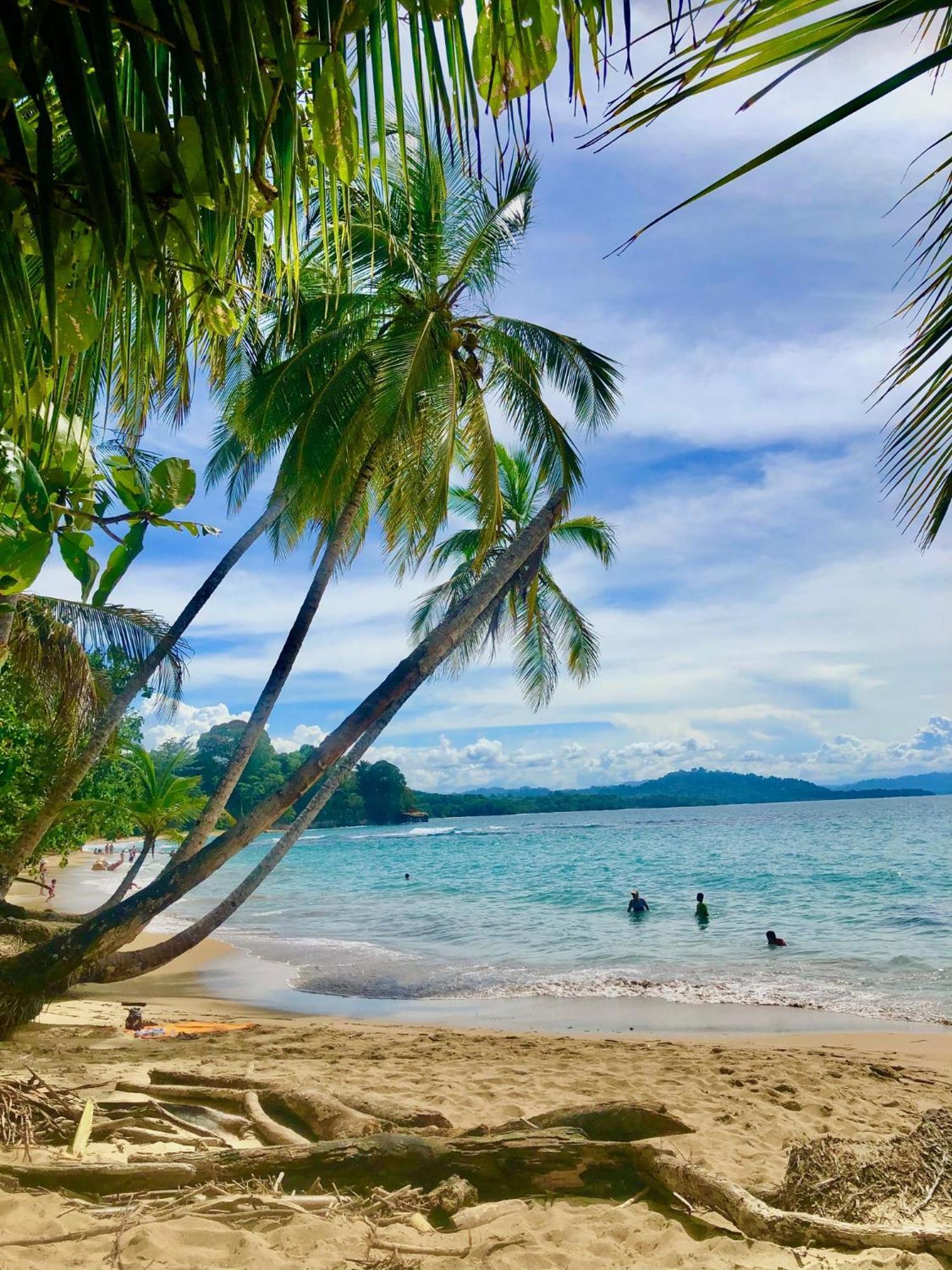 Cabinas Ole Caribe Puerto Viejo de Talamanca 外观 照片