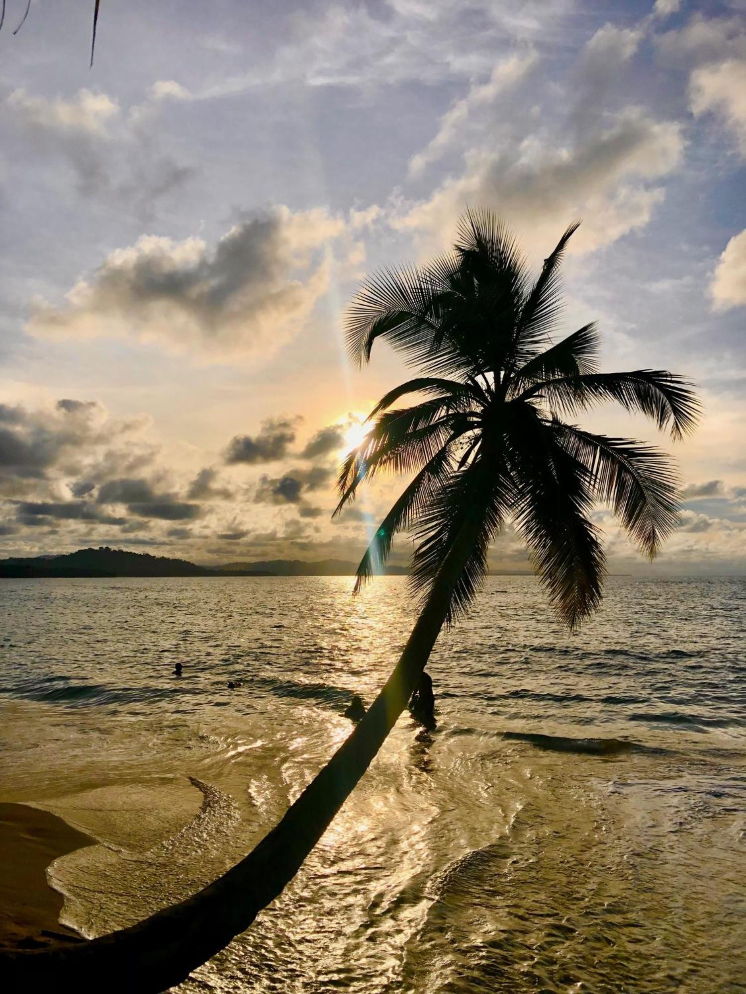 Cabinas Ole Caribe Puerto Viejo de Talamanca 外观 照片