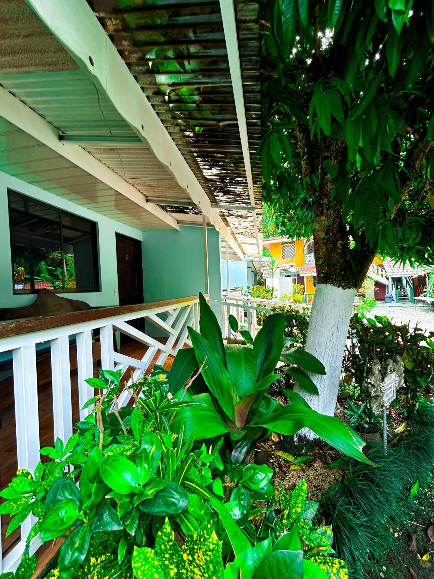 Cabinas Ole Caribe Puerto Viejo de Talamanca 外观 照片